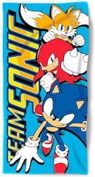 Sega Hedgehog