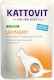 Kattovit Wet Food for Cats in Pouches with Turkey 85gr