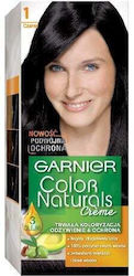 Garnier Haarfarbe 1 Black 110ml