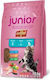 Dry Food for Young Cats with Poultry 10kg