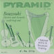 Pyramid Set of Steel Strings for Bouzouki 11 - 22"