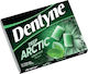 Dentyne 12 Τσίχλες Deep Arctic με Γεύση Spearmint Χωρίς Προσθήκη Ζάχαρης 16.8gr