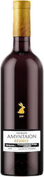 E.A.S. Amyntaiou Reserve Rot Trocken Amyntaio 750ml