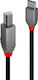 Lindy USB 2.0 Cable USB-C male - USB-B Μαύρο 1m 36941