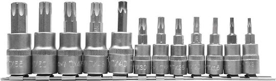 Yato Walnut with Torx Head and Socket 1/4'', 3/8'' T10 / T15 / T20 / T25 / T27 / T30 / T8 / T40 / T45 / T47 / T50 / T55 12pcs