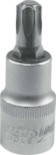 Dedra Bit-Stecknuss mit Torx-Bit und Antriebsvierkant 1/2'' Größe T45 1Stück
