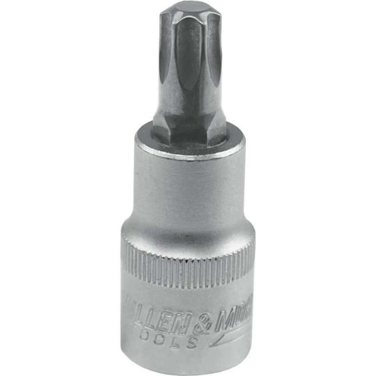 Dedra Dedra Torx Bit mit Antriebsgröße 1/2'' T20x100mm