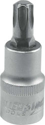 Dedra Καρυδάκι με Μύτη Torx και Καρέ Υποδοχής 1/2'' Μέγεθος T30