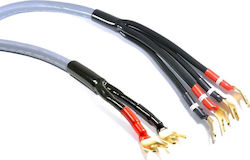 Melodika Speaker Cable Unterminated 1m