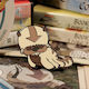 Avatar Last Airbender Appa Limited Edition Pin's