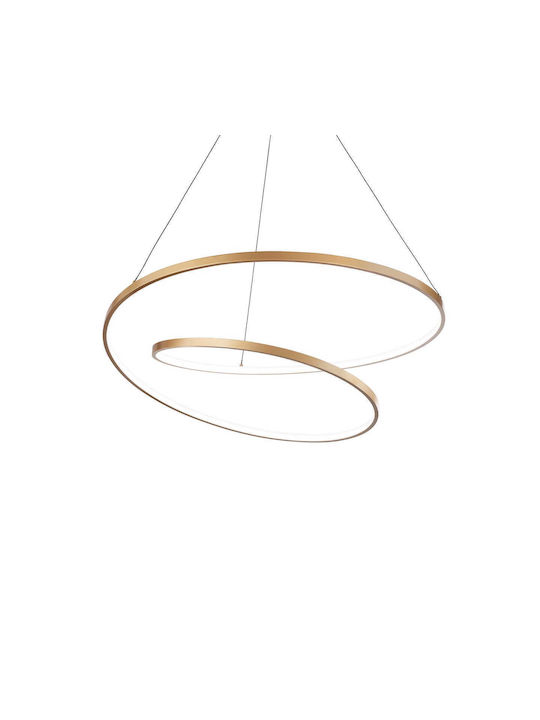 SP Souliotis Pendant Light Gold