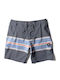 Boardshort Men's Swimwear Shorts Denim