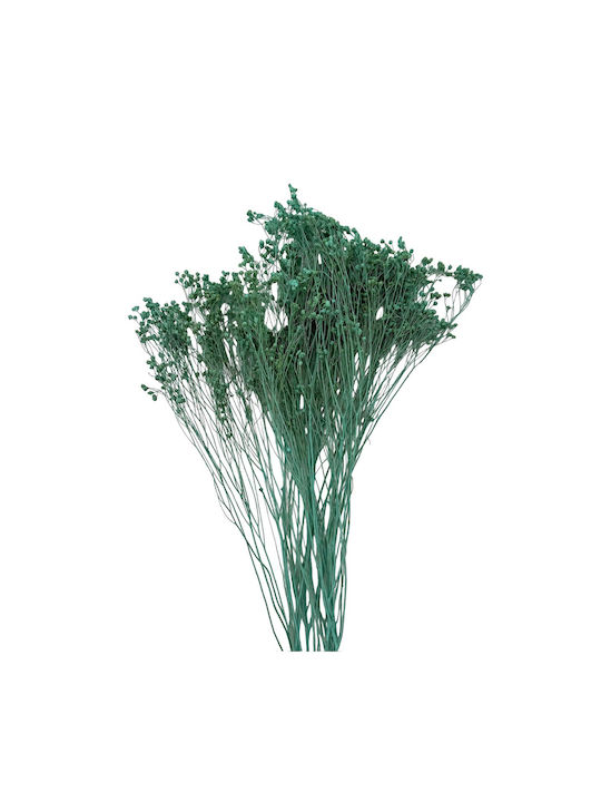 Dried Plant Grass Blue 1pcs