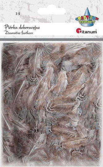 Titanum Bastelartikel 3gr in Braun Farbe