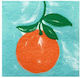 Xαρτοπετσέτες Orange Amere 12.5 X 2.5cm Francoise Paviot 20 Tεμάχια