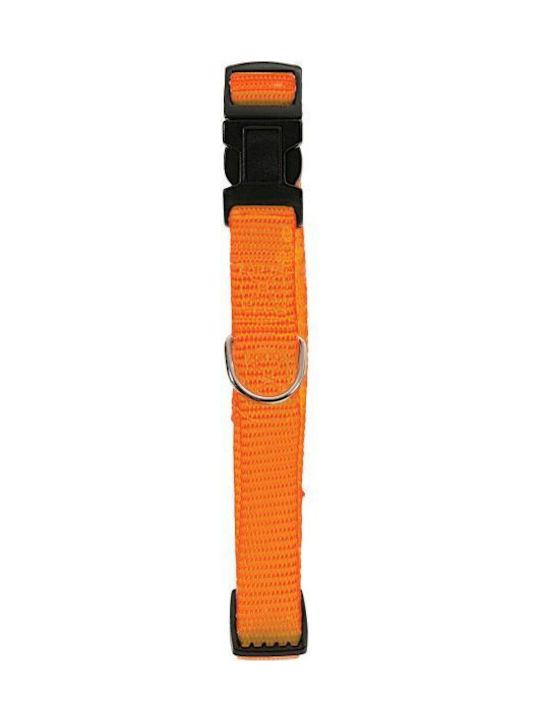 Zolux Hundehalsband in Orange Farbe 40mm x 39cm
