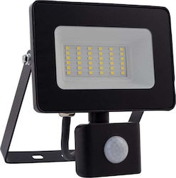 Schmith LED Flutlichter 30W Wasserdicht