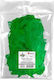 Titanum Wing Craft Green