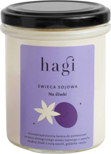 Hagi Sojawachskerze Pflaumen 215ml
