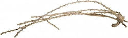 Terra Natura Liana Root Finish 60-100 Cm Pack Approx 5 Pieces