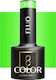 Activeshop Semi-Permanent Nail Polish F02 5gr F02 1pcs