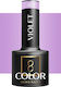 Activeshop Ημιμόνιμο Βερνίκι Νυχιών Purple 401 5gr