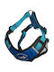 All For Dogs Σαμαράκι Σκύλου Γιλέκο Large / X-Small / Small / Medium VAT011243