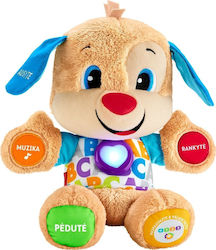 Fisher Price Baby-Spielzeug für 3++ Monate