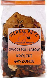 Herbal Pets Λιχουδιά για Τρωκτικό Herbal Pets Λιχουδιά για Τρωκτικό