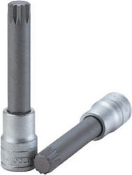 Teng Tools Spritzfilter Wasserhahn Bit-Stecknuss mit Spline-Bit und Antriebsvierkant 1/2'' Größe M6x100mm 1Stück