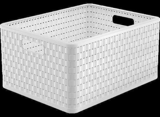 Rotho Babydesign Kunststoff Aufbewahrungsbox mit Deckel Weiß 43x33x21.5cm 1Stück