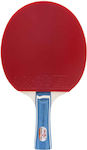 Doublefish Ping Pong Racket