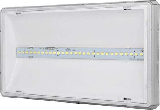 Awex LED Notausgangsleuchte mit Batteriebetrieben 1Stück