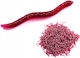Artificial Bait 3.5cm Red