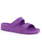 Scholl Bahia Women's Flip Flops Purple