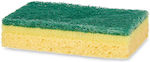 Arte Regal Kitchen Sponge