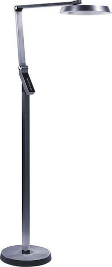 Beliani LED Stehleuchte Gray