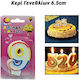 Birthday Candles 6.5cm Number 9