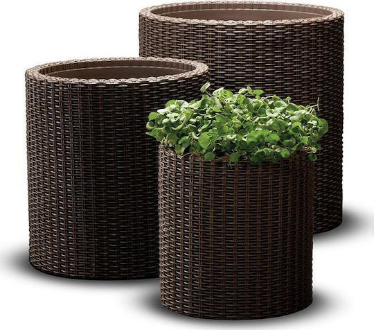 Keter Ghiveci Plastic Maro