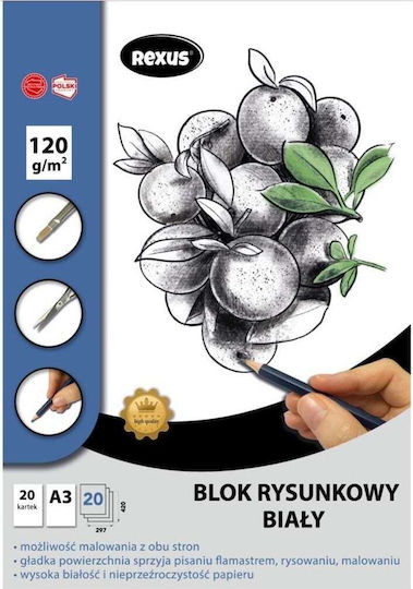 Benjamin Drawing Pad A3 20 Sheets White