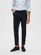 Hose Navy Blazer