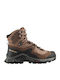 Salomon Quest Element Gtx Women's Hiking Boots Waterproof with Gore-Tex Membrane Brown