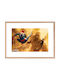 Walls Kids Wall Art Spiderman 2 Wooden Frame 50x40cm