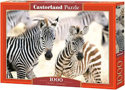 Puzzle Da 1000 Pezzi Giovani Zebre