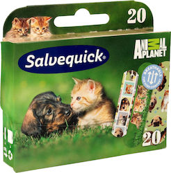 Salvequick Animal Planet Pflaster