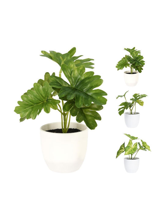 Künstliche Pflanze im Töpfchen Monstera 15cm (Verschiedene Designs) Koopman