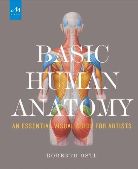 Basic Human Anatomy Basic Human Anatomy