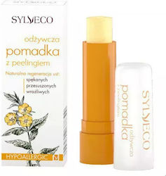 Sylveco Lip Scrub 4.6gr Sylveco Lip Scrub 4.6gr