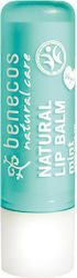 Balsam de buze Benecos Menta 4,5gr Bio