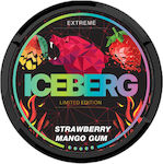 Iceberg Chewing gum 1pcs